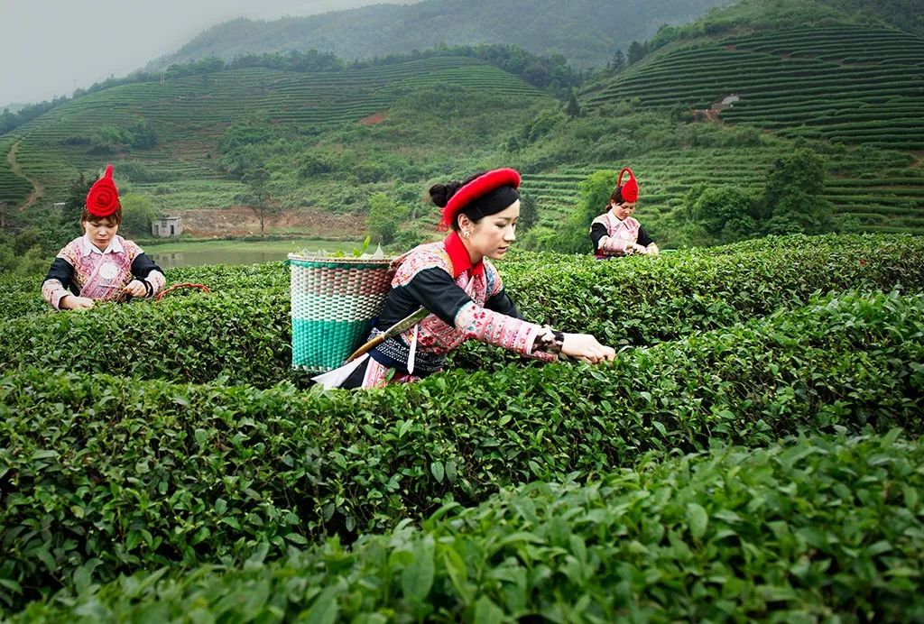 这里是宁德,这里是福建