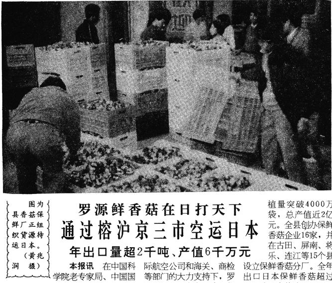 这里是宁德,这里是福建