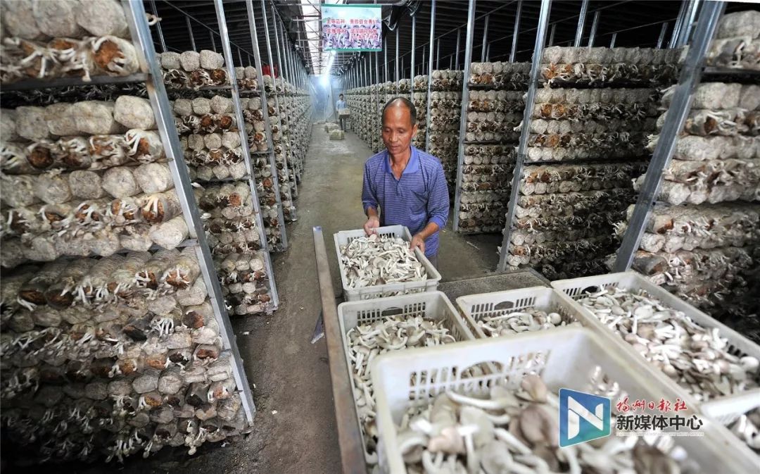 这里是宁德,这里是福建