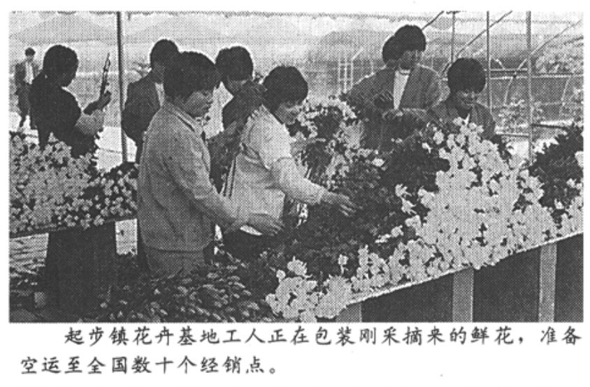 这里是宁德,这里是福建