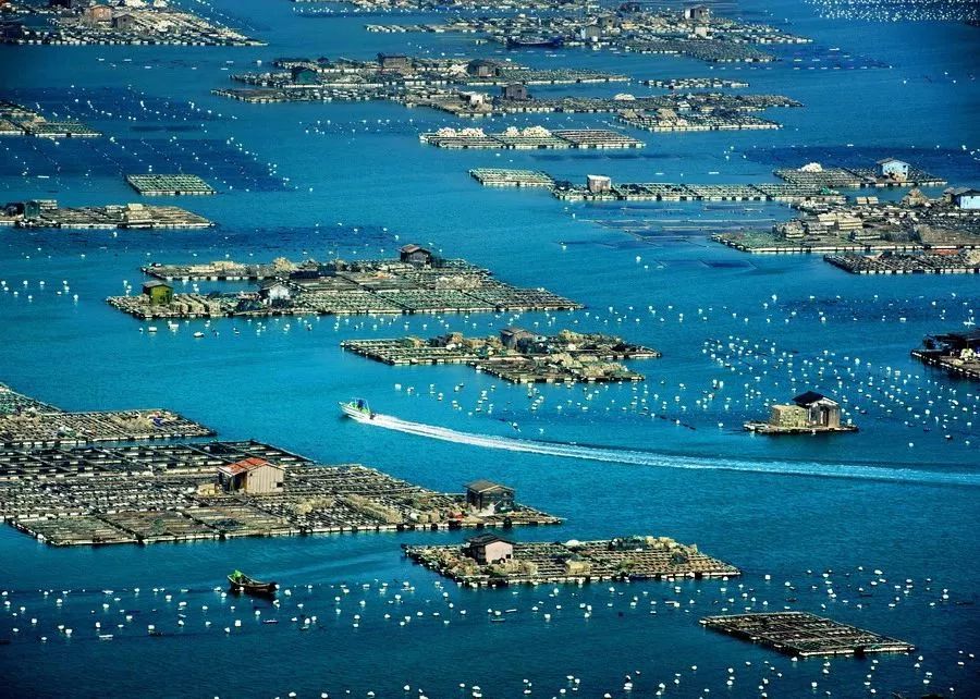 这里是宁德,这里是福建