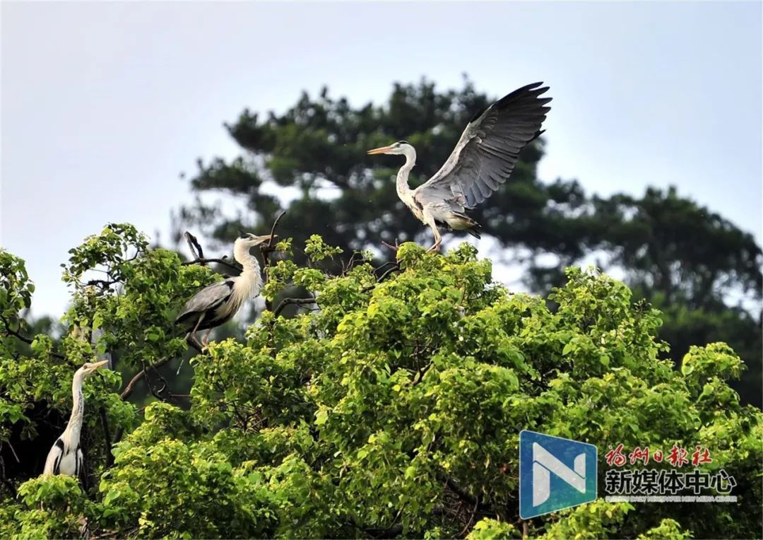这里是宁德,这里是福建