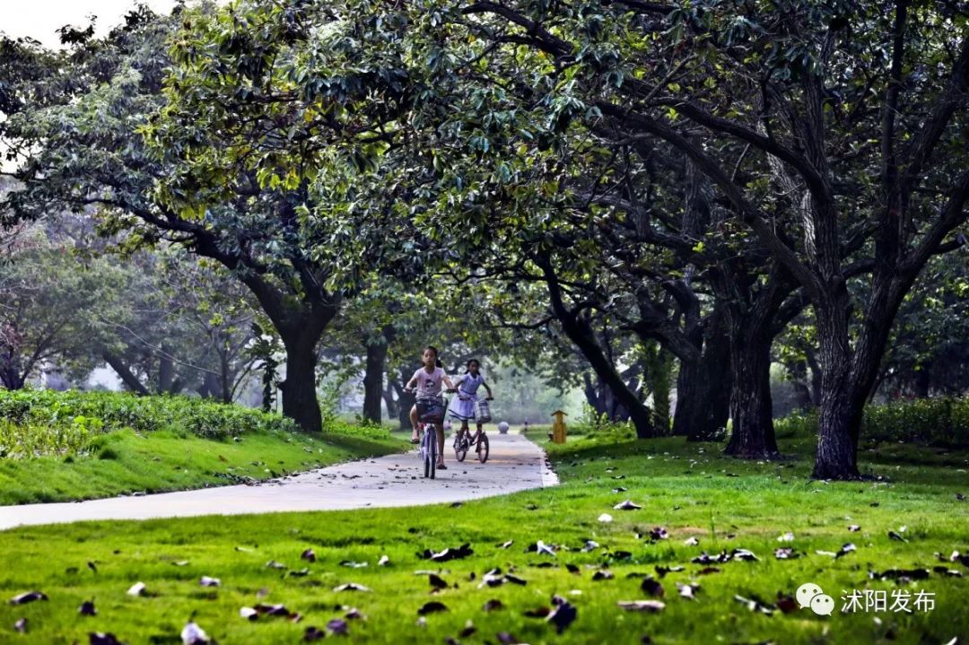 娌槼鏃呮父璺嚎鎺ㄨ崘,姹熻嫃娌槼鏃呮父鏀荤暐璺嚎