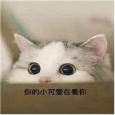 你听过哪些离谱的谣言,这些年你信过的谣言