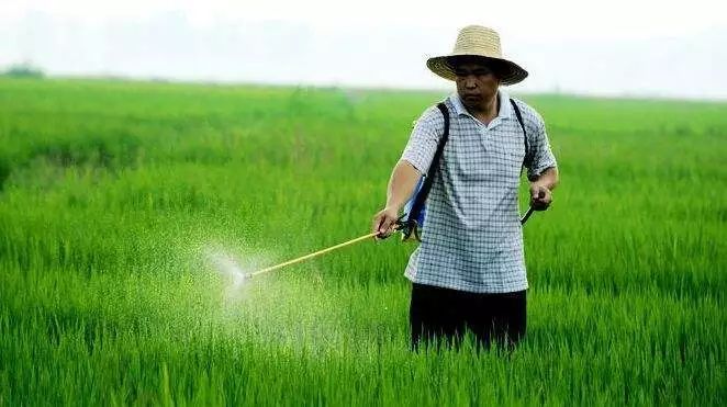 改革开放40年的得与失的经验教训,40年前的改革开放有什么困难之处