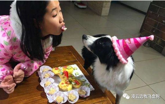 狗狗为什么喜欢吃骨头有什么影响,狗狗为什么很喜欢吃辣椒