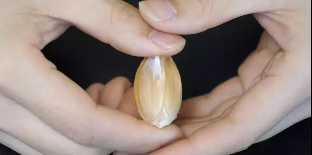 剥大蒜怎么才能快速剥出薄膜,剥完整大蒜皮妙招视频