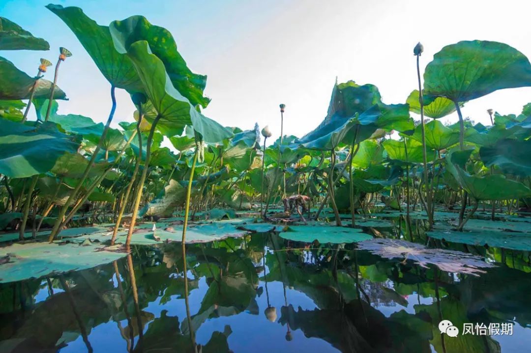 厦门厦金海域旅游攻略,厦门金门旅游攻略自由行