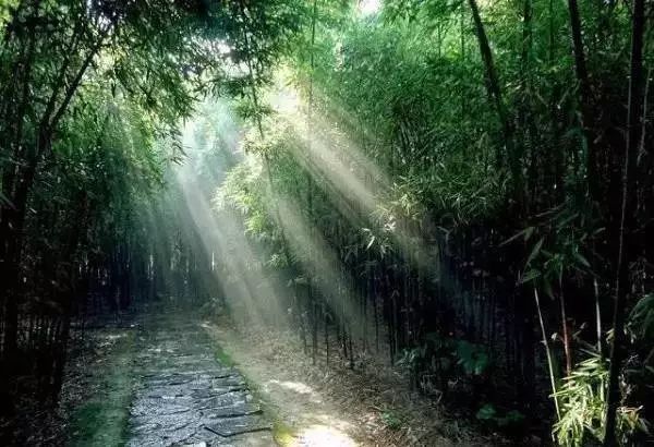 溧阳市农田出租,溧阳农民自建房