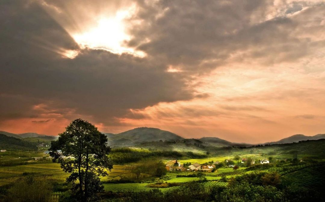 溧阳市农田出租,溧阳农民自建房