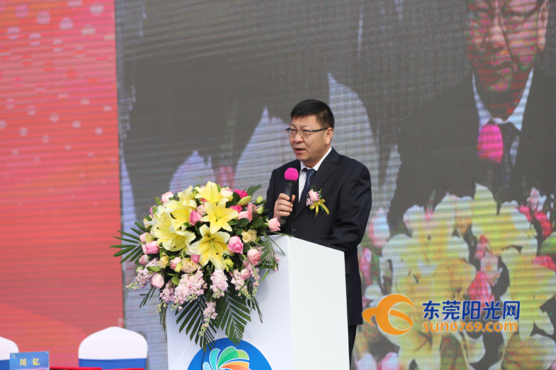 东莞谢岗横河项目,东莞谢岗投资项目