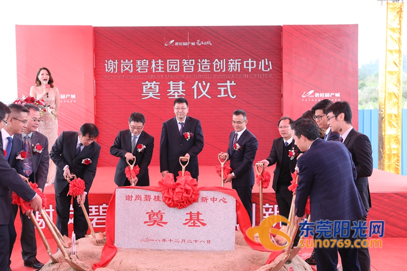 东莞谢岗横河项目,东莞谢岗投资项目