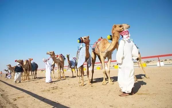 直飞免签国家有哪些,中国直飞的免签国家