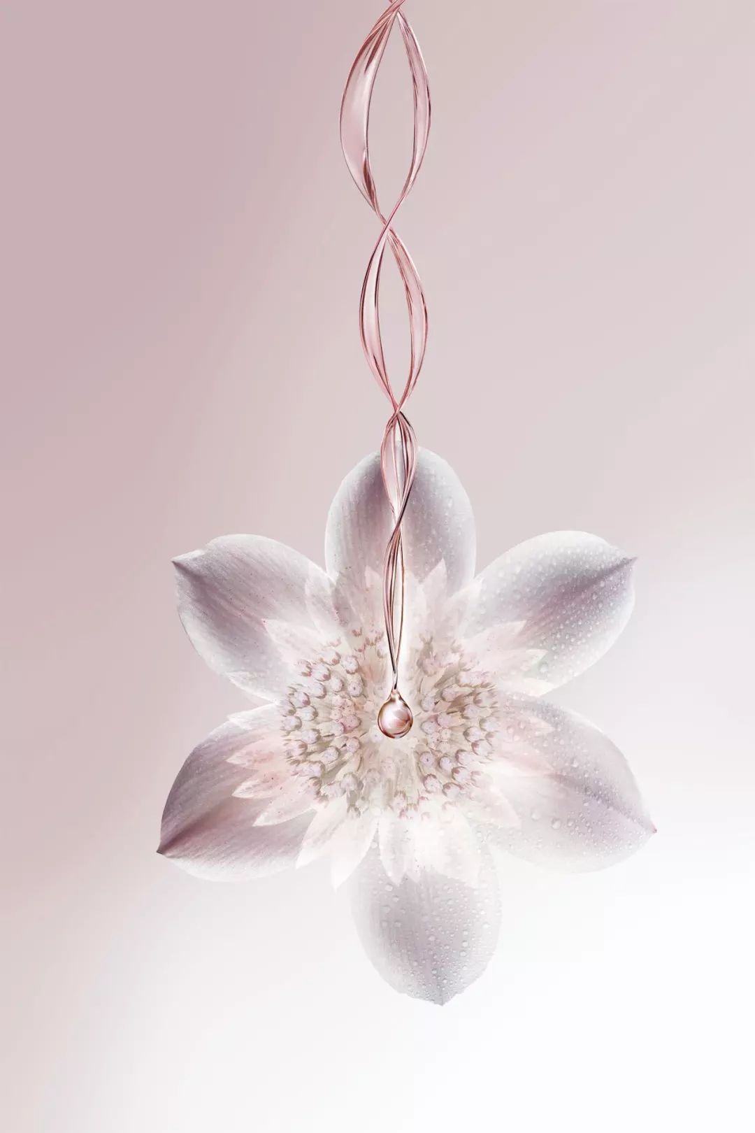 揭秘｜2018年最值得投资的美妆圈“新面孔”集中盘点（下）