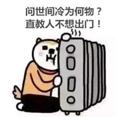 青岛波司登极寒羽绒服,青岛波司登极寒系列羽绒服