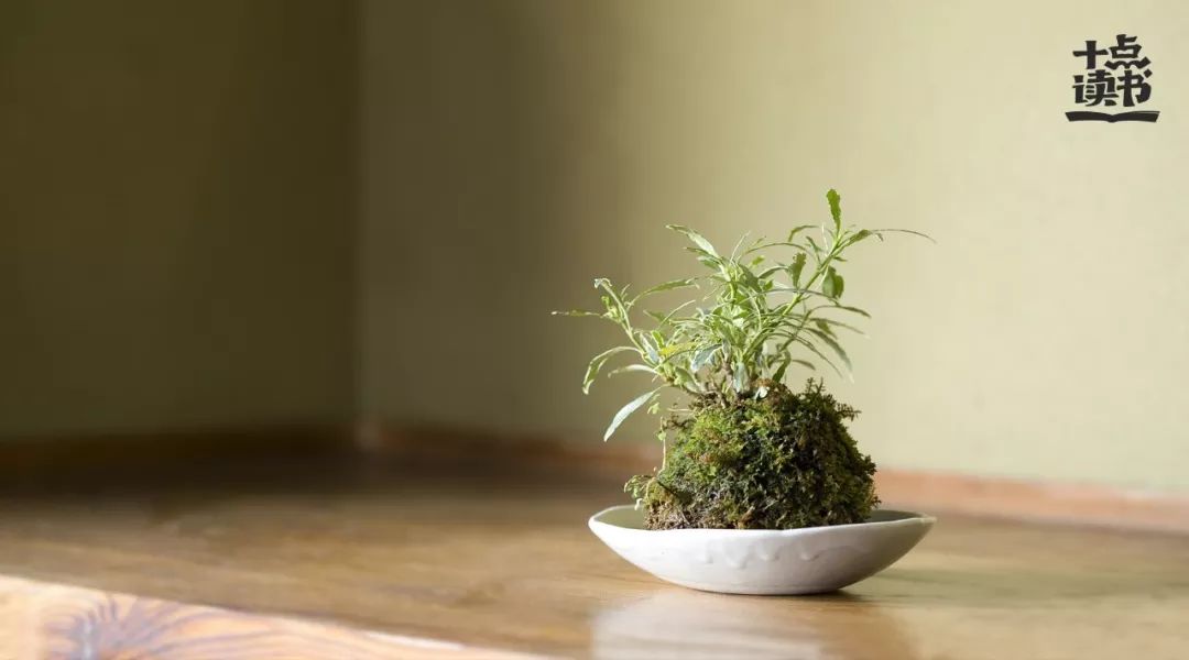 2018年终总结个人总结,2018年总结单身熬夜长胖