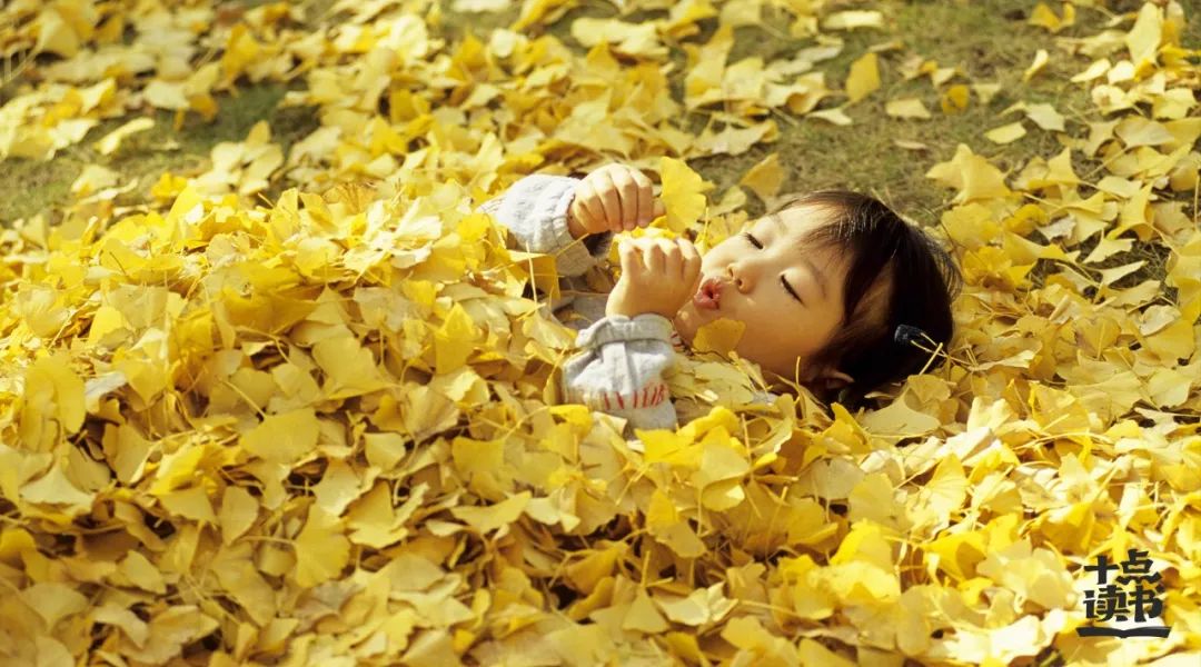 2018年终总结个人总结,2018年总结单身熬夜长胖