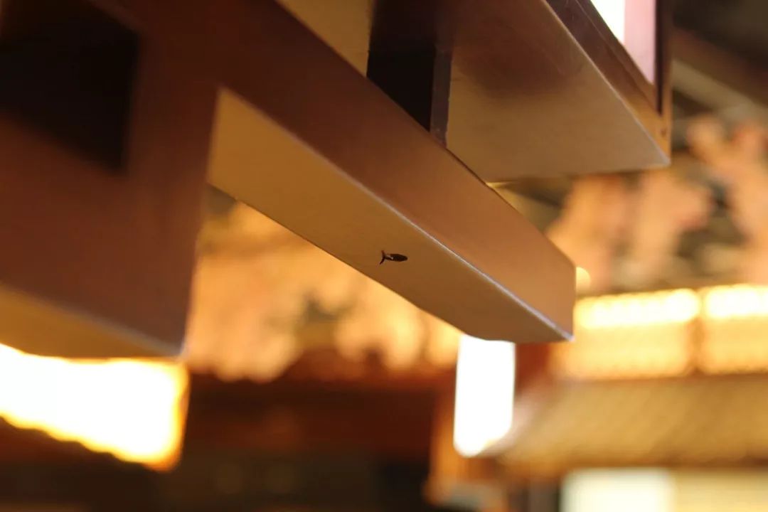 盘点日常用语中的佛教词汇,六十个佛教常用词汇