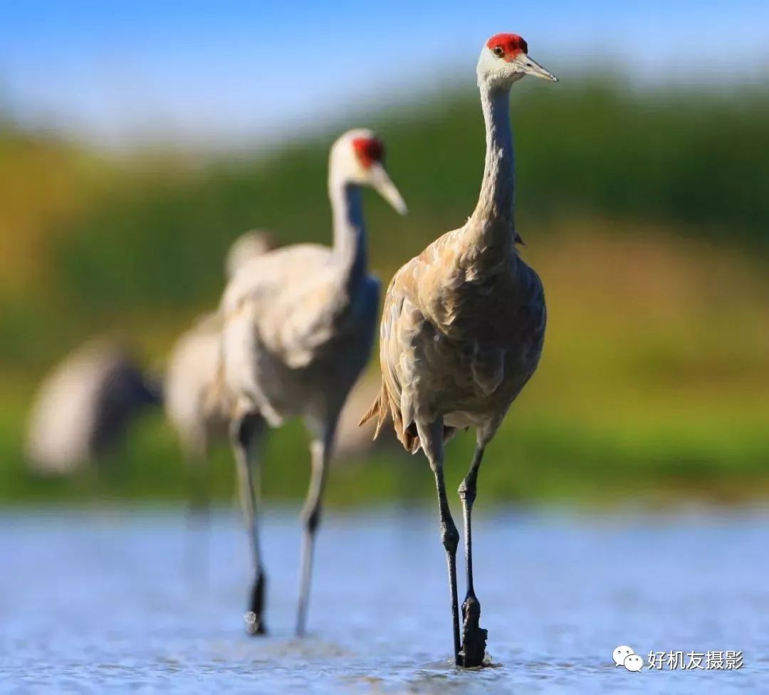 摄影器材初学者教程,摄影新手如何选择器材
