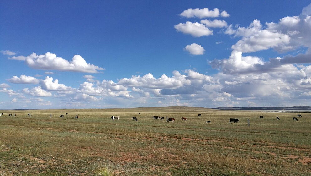 大美内蒙古完整版,内蒙古苏泊罕大草原游记