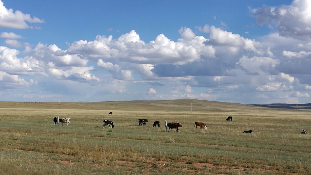 大美内蒙古完整版,内蒙古苏泊罕大草原游记