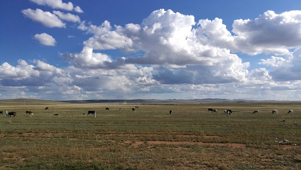 大美内蒙古完整版,内蒙古苏泊罕大草原游记