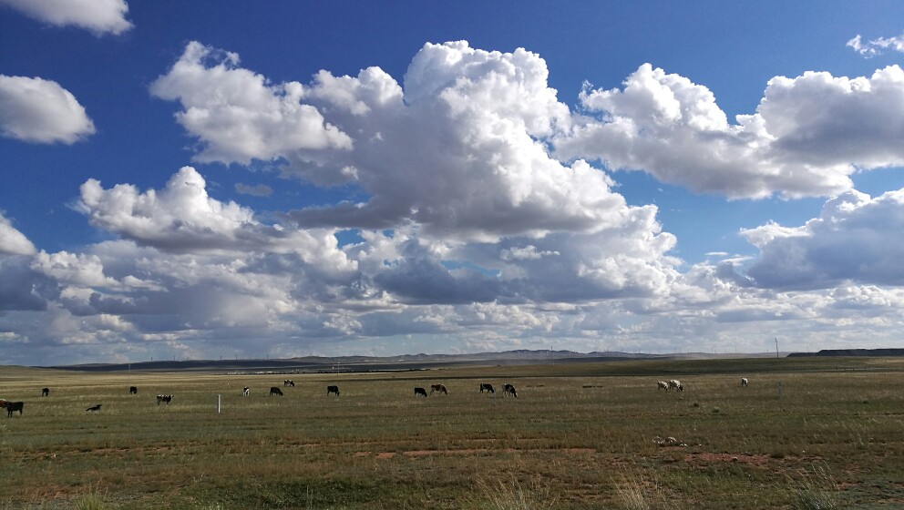 大美内蒙古完整版,内蒙古苏泊罕大草原游记