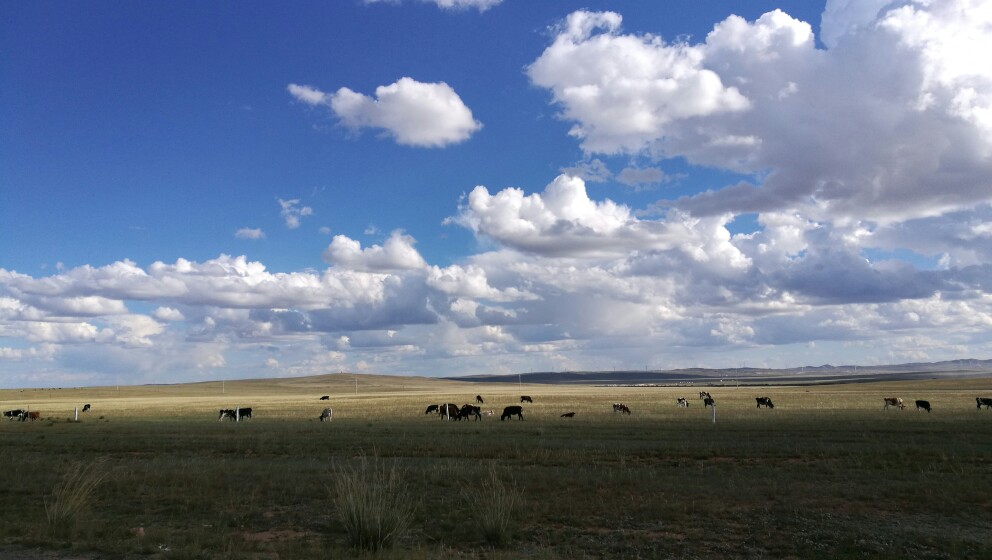大美内蒙古完整版,内蒙古苏泊罕大草原游记
