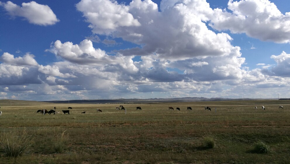 大美内蒙古完整版,内蒙古苏泊罕大草原游记