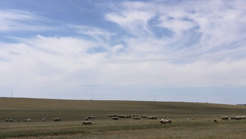 大美内蒙古完整版,内蒙古苏泊罕大草原游记