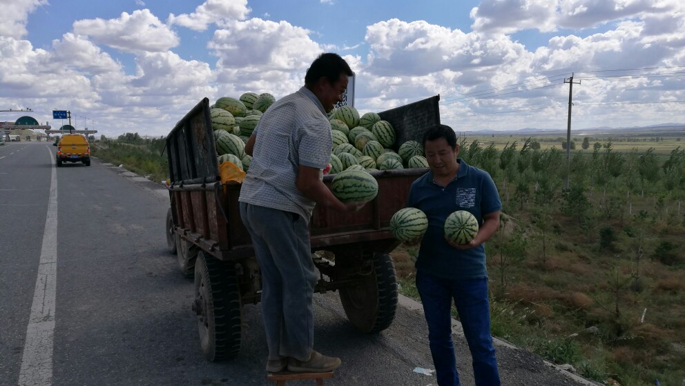 大美内蒙古完整版,内蒙古苏泊罕大草原游记