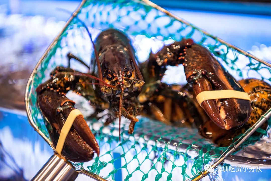 「美颜超市」来了，刚到深圳