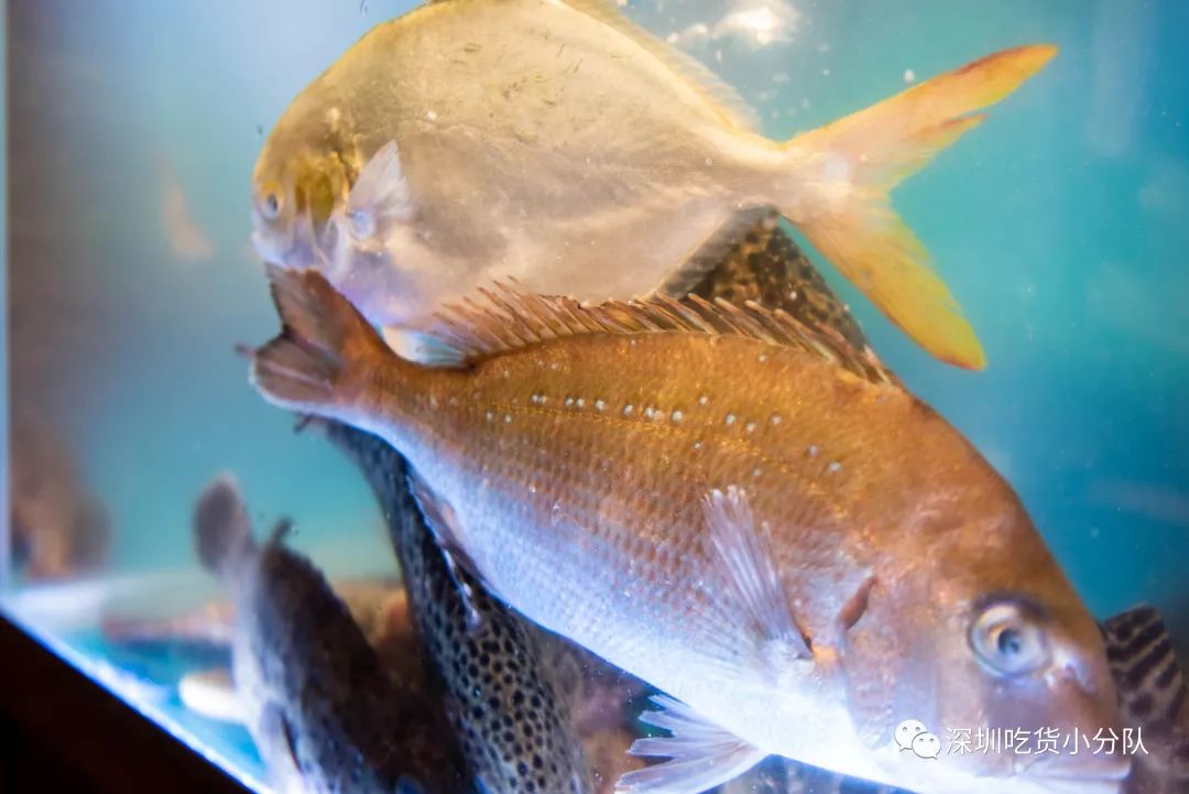 「美颜超市」来了，刚到深圳