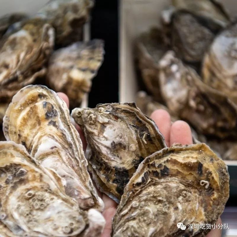 「美颜超市」来了，刚到深圳