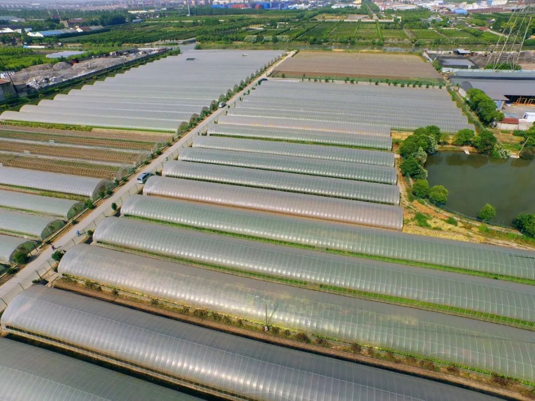 重温古韵历史文化名镇,描绘新家园