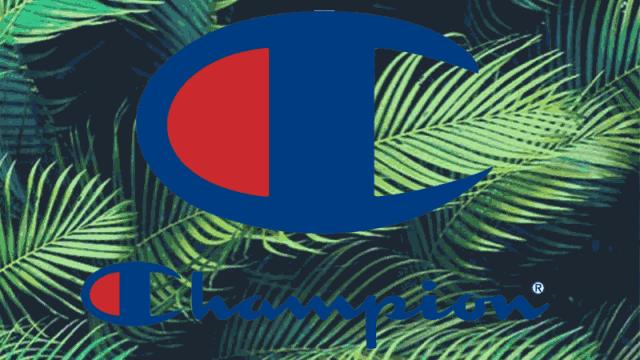 鏈変粈涔堝ソ鐪嬩环鏍煎疄鎯犵殑娼墝,璐ㄩ噺杈冨ソ涓斾环鏍煎疄鎯犵殑娼墝