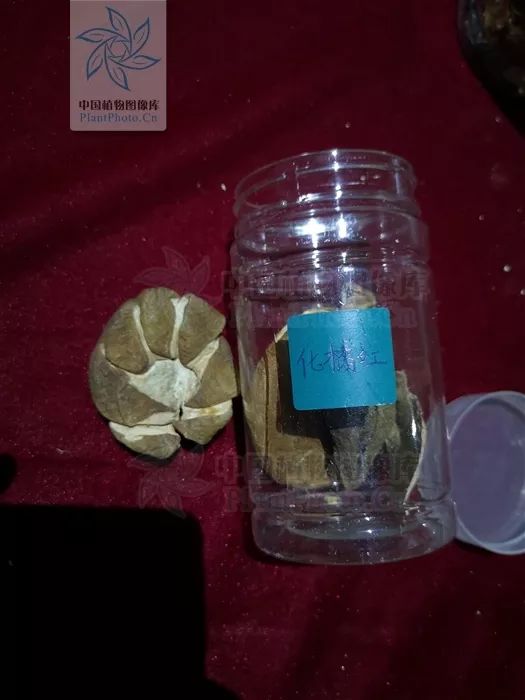 本草驿站岭南特色中药化橘红,本草驿站药材