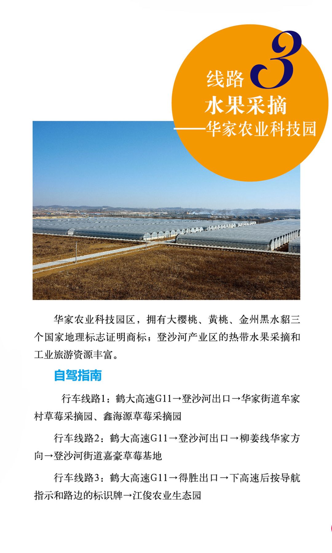 摘草莓去哪里摘,摘草莓去处