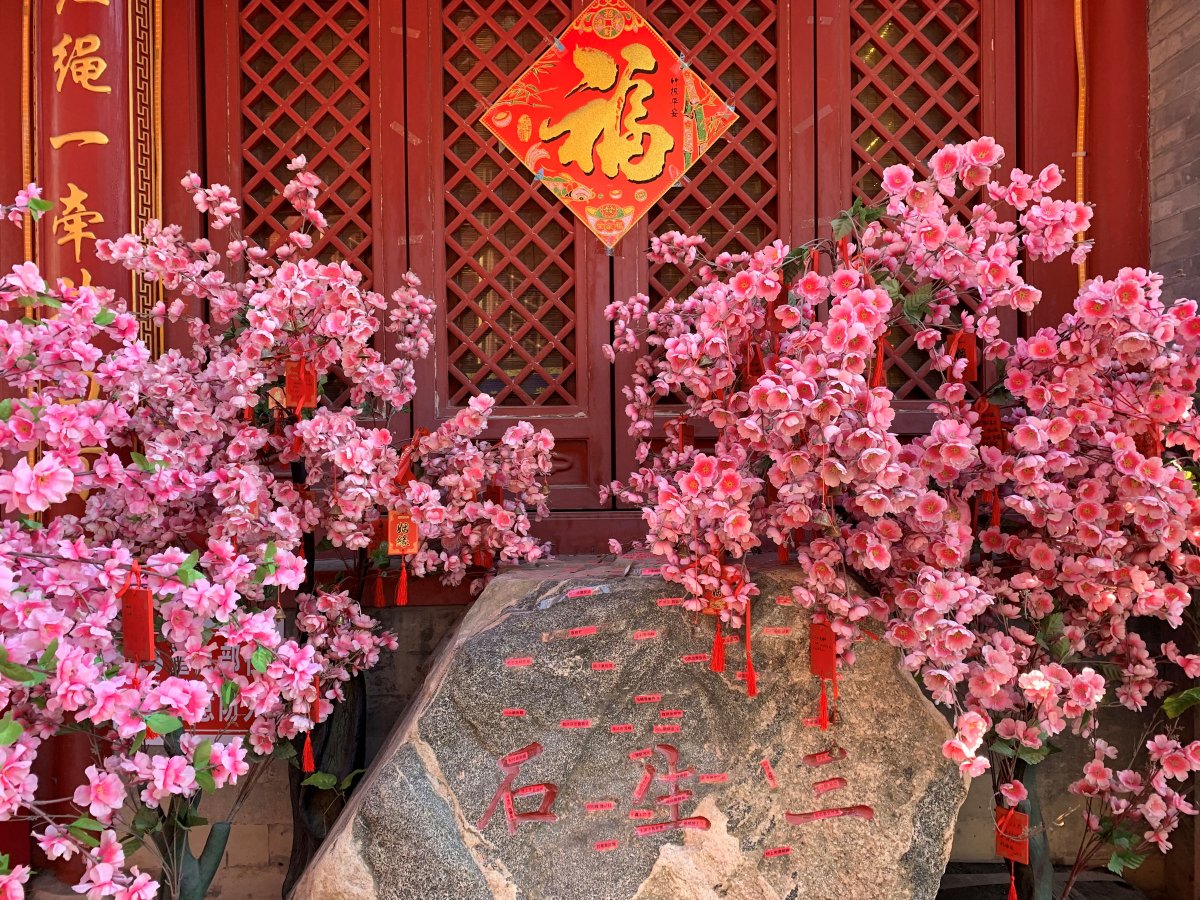 苹果xr主要是哪个摄像头拍照,苹果xr到苹果15前后置摄像头