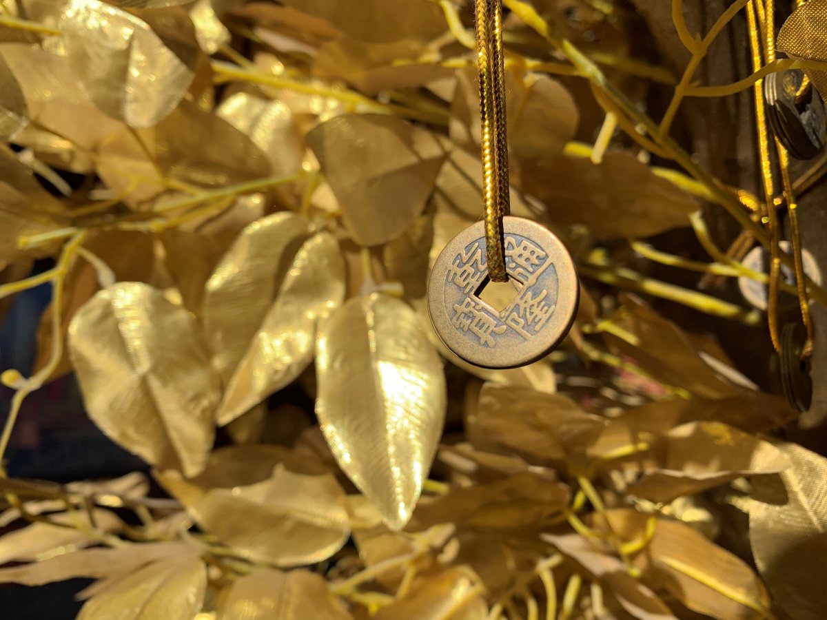 苹果xr主要是哪个摄像头拍照,苹果xr到苹果15前后置摄像头