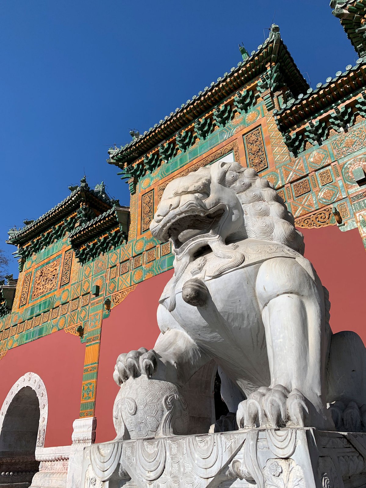 苹果xr主要是哪个摄像头拍照,苹果xr到苹果15前后置摄像头