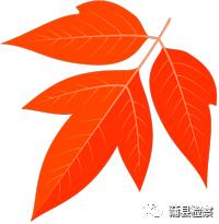 「基层动态」蒲县：开讲啦！开讲啦！冉姐、晶姐、桢“老师”、红姨陆续登场~