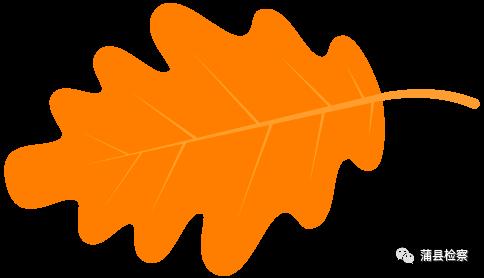 「基层动态」蒲县：开讲啦！开讲啦！冉姐、晶姐、桢“老师”、红姨陆续登场~