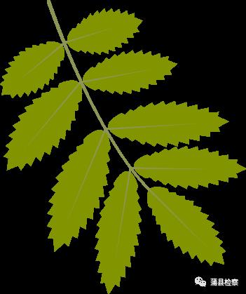 「基层动态」蒲县:开讲啦!开讲啦!冉姐、晶姐、桢“老师”、红姨陆续登场~