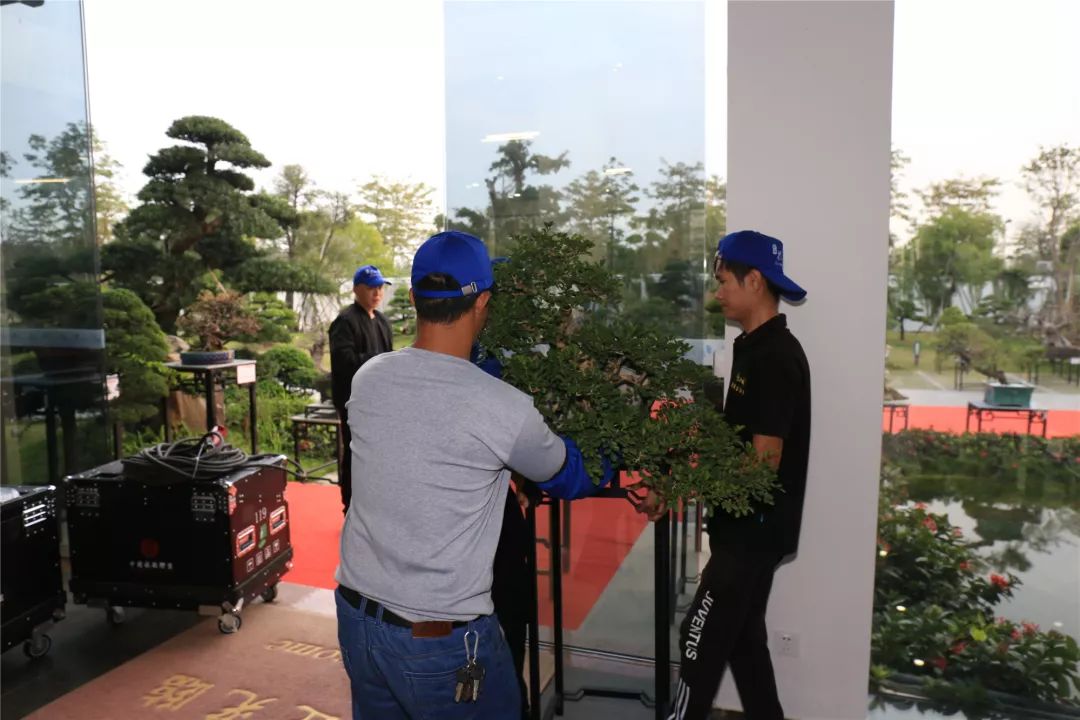 古镇这场拍卖会上大家为何频频举牌？原来……