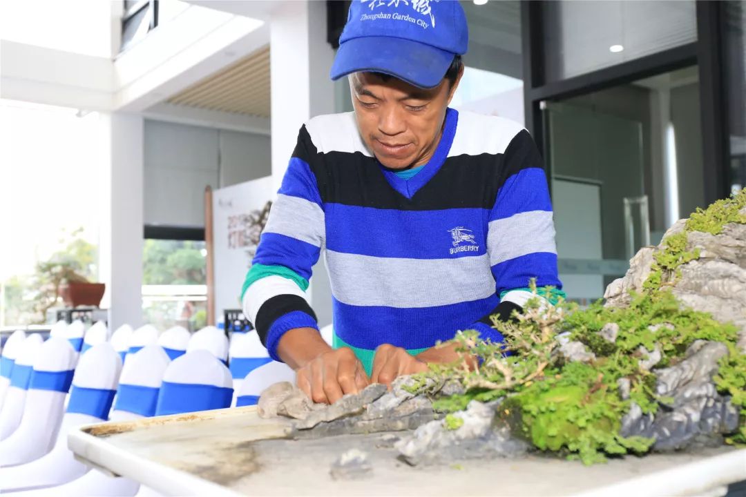 古镇这场拍卖会上大家为何频频举牌？原来……