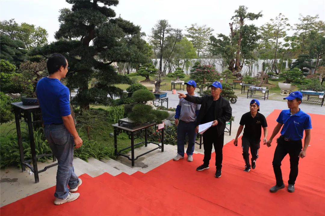 古镇这场拍卖会上大家为何频频举牌？原来……