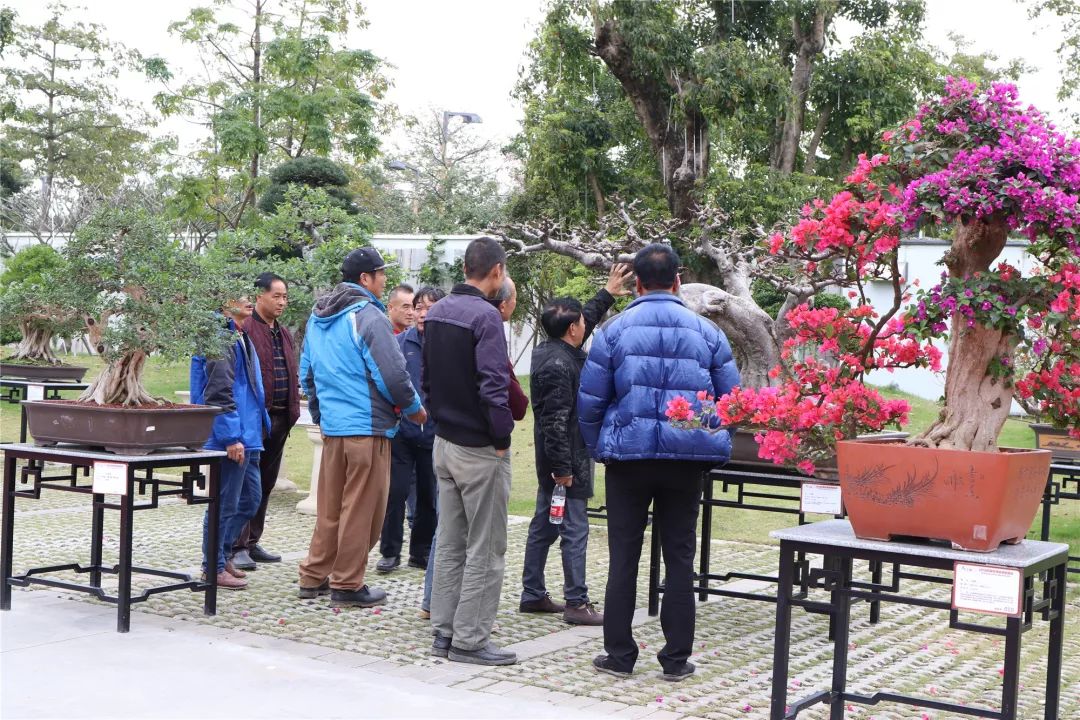 古镇这场拍卖会上大家为何频频举牌？原来……