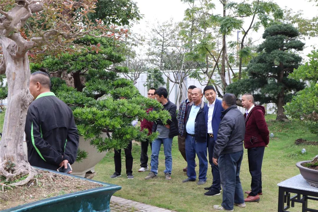 古镇这场拍卖会上大家为何频频举牌?原来……