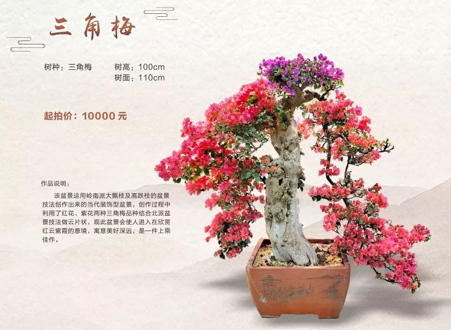 古镇这场拍卖会上大家为何频频举牌？原来……